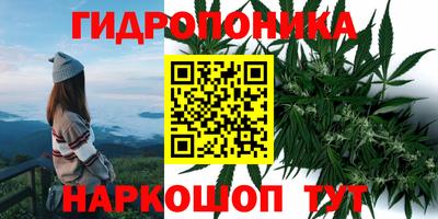 марки lsd Дубна
